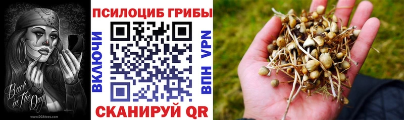 Галлюциногенные грибы Psilocybine cubensis  Фатеж 